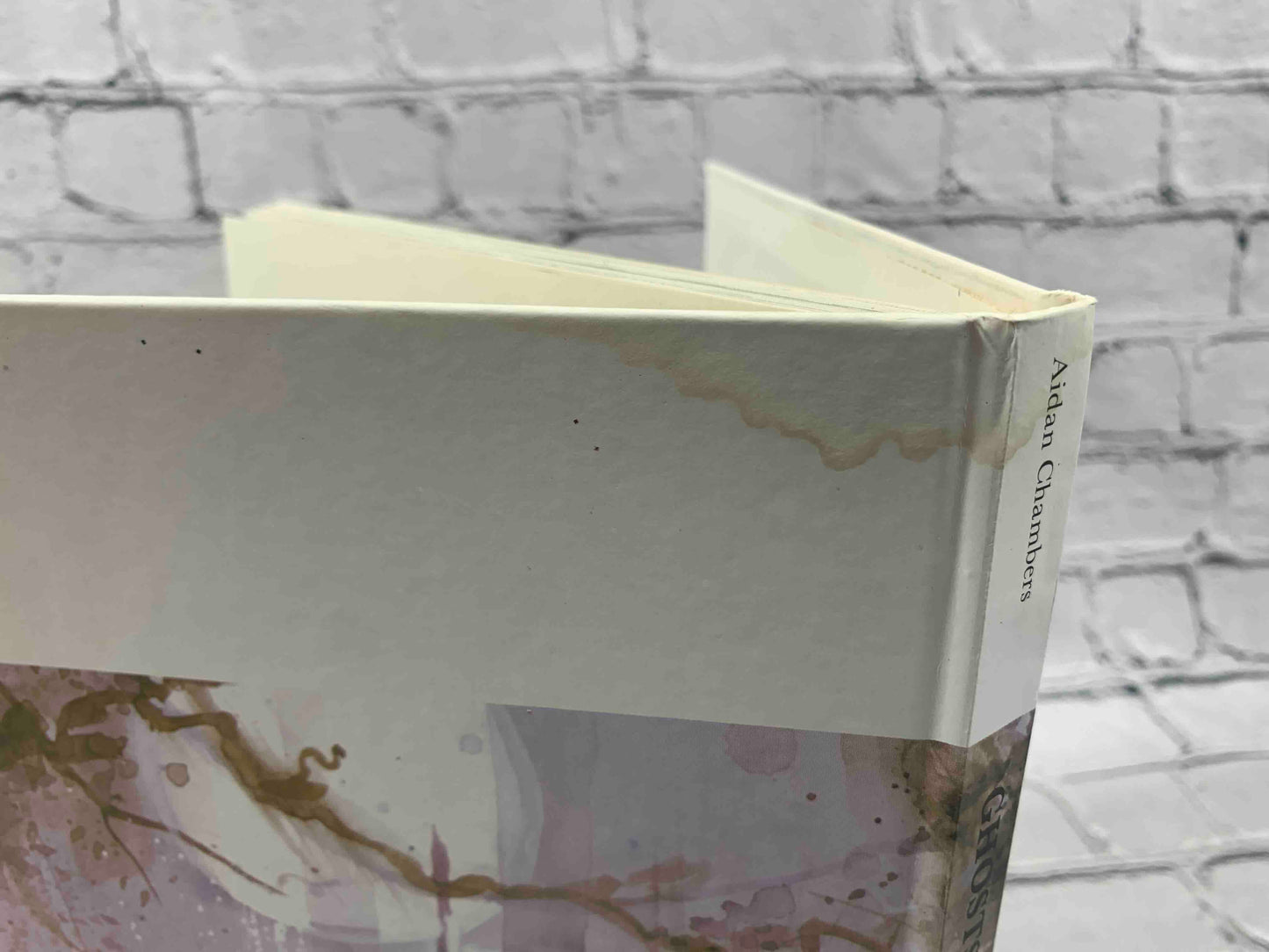 Aidan Chambers' Book of Ghosts and Hauntings