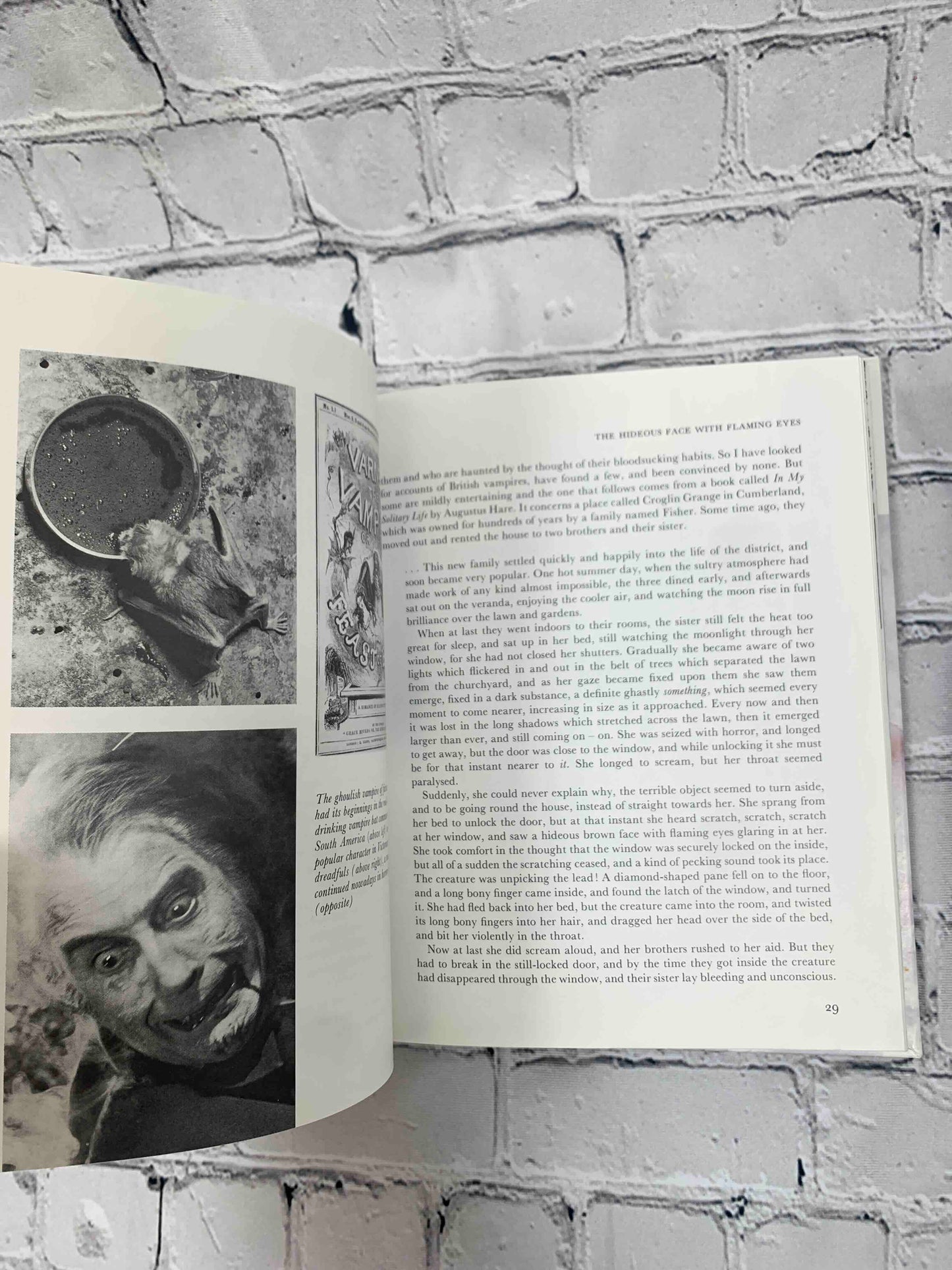 Aidan Chambers' Book of Ghosts and Hauntings