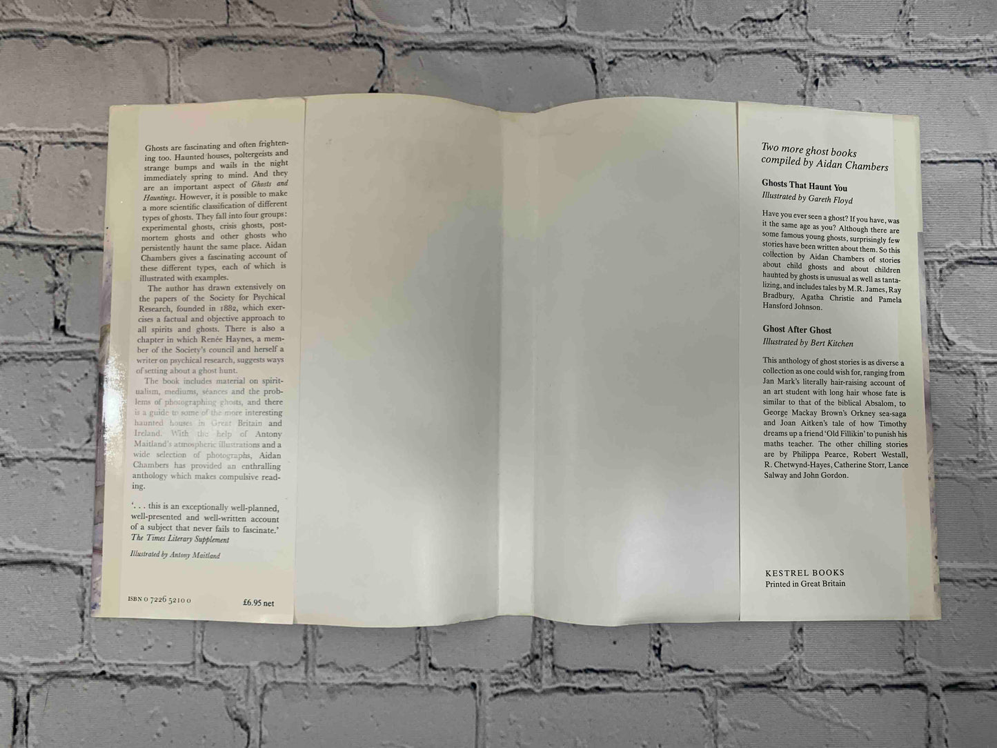 Aidan Chambers' Book of Ghosts and Hauntings