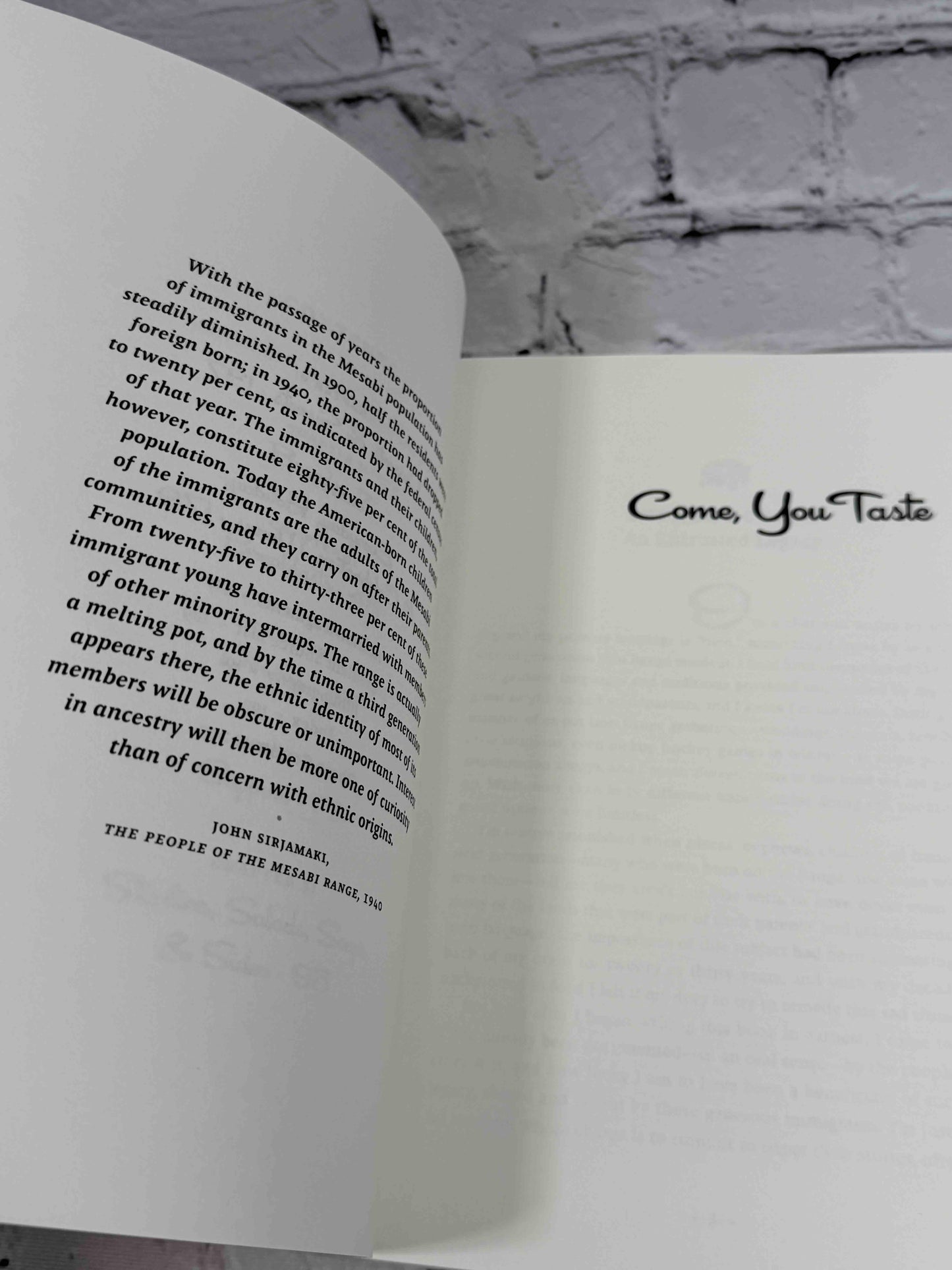 Come, You Taste: Family Recipes from the Iron Range
