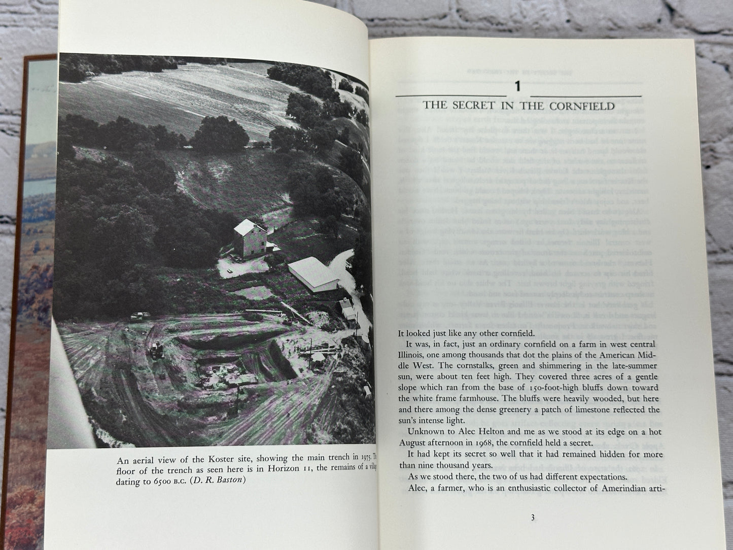 Koster: Americans in Search of Thier Prehistoric Past [1st Ed. · 1979]