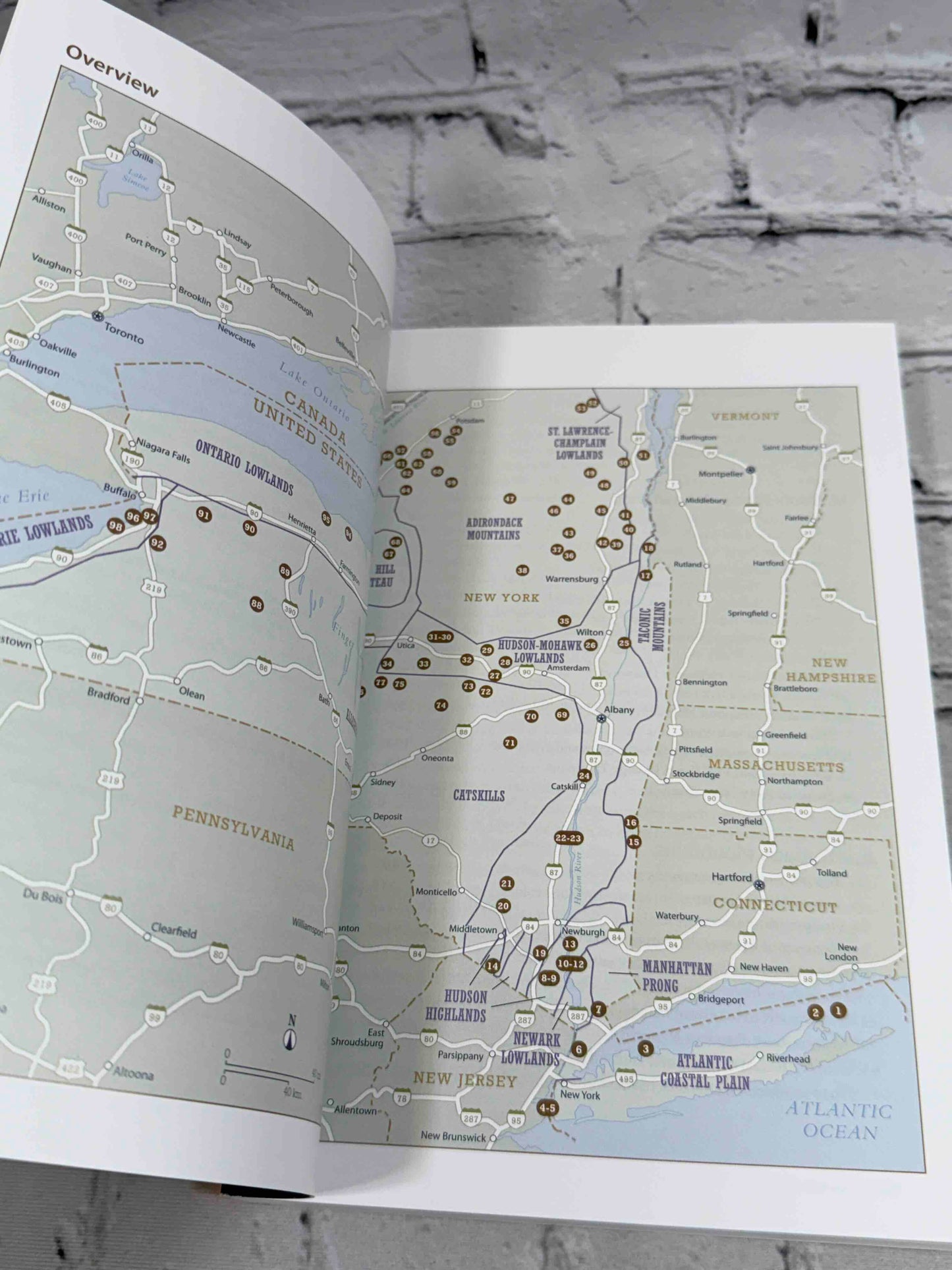 Rockhounding New York (Rockhounding Series)