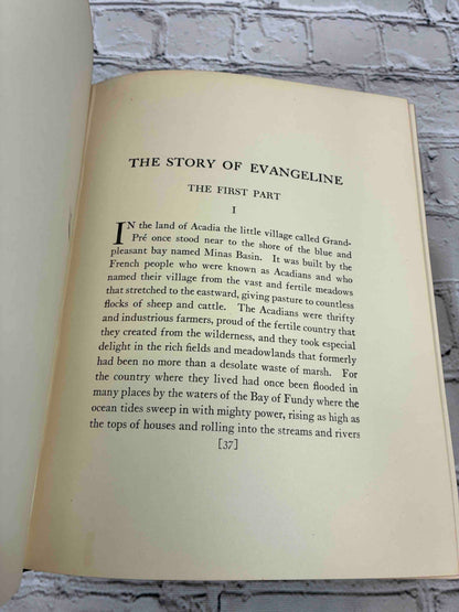 The Story of Evangeline Adapted by Longfellow