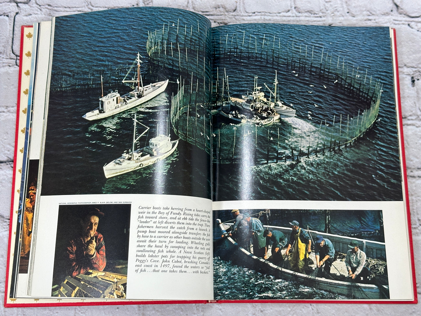 Exploring Canada From Sea To Sea [National Geographic Society · w/ MAP · 1967]