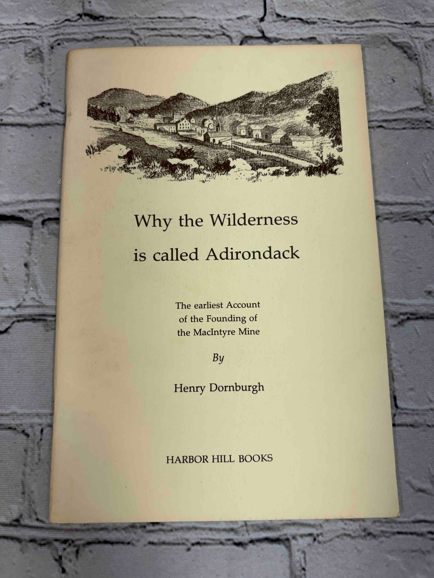 Why the Wilderness is called Adirondack