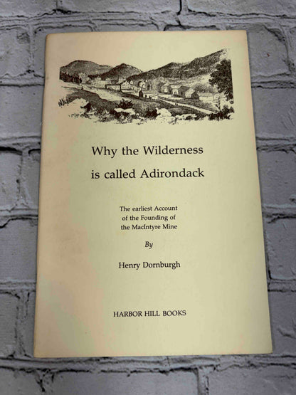 Why the Wilderness is called Adirondack
