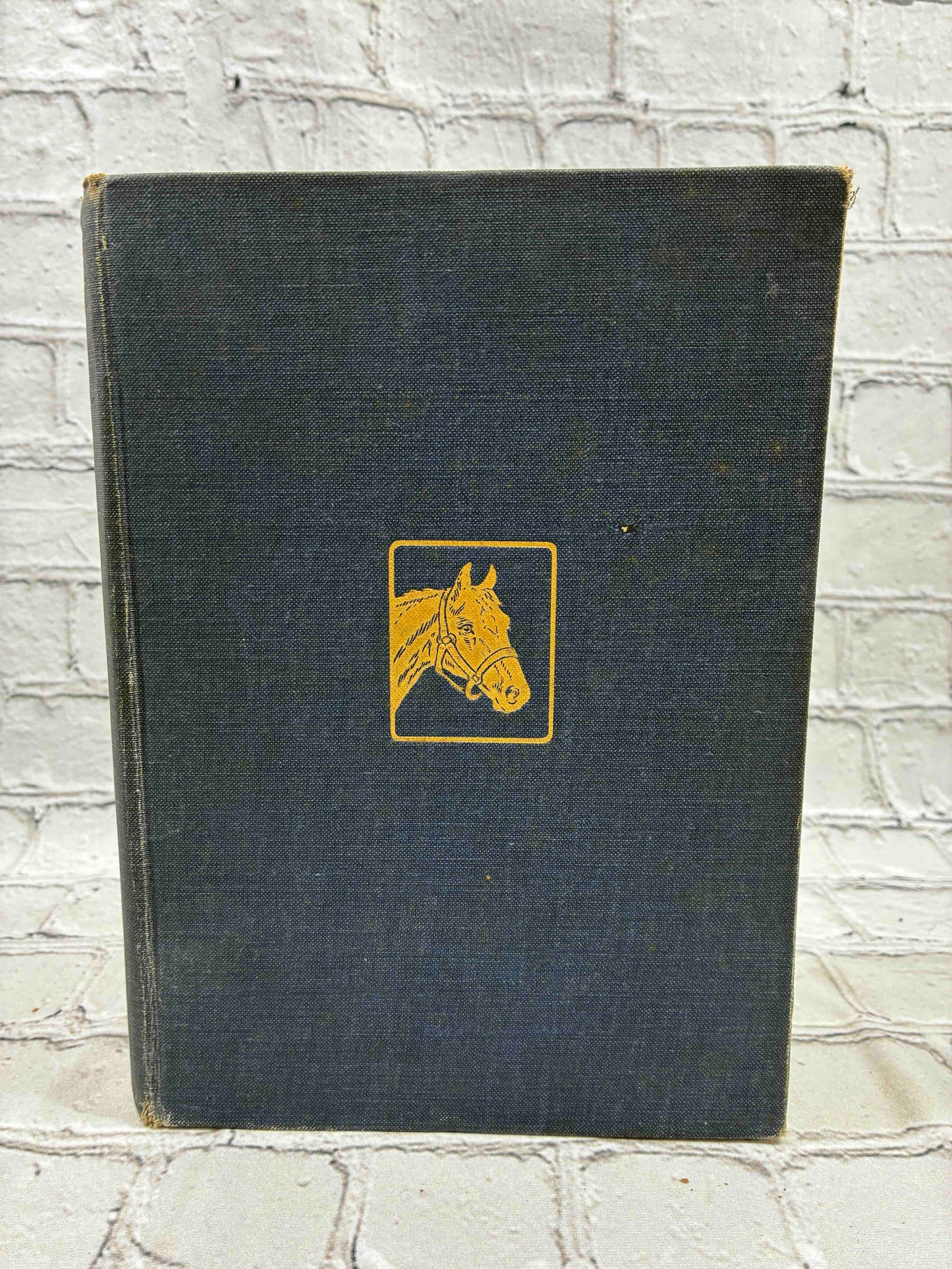 Black Beauty: The Autobiography of a Horse