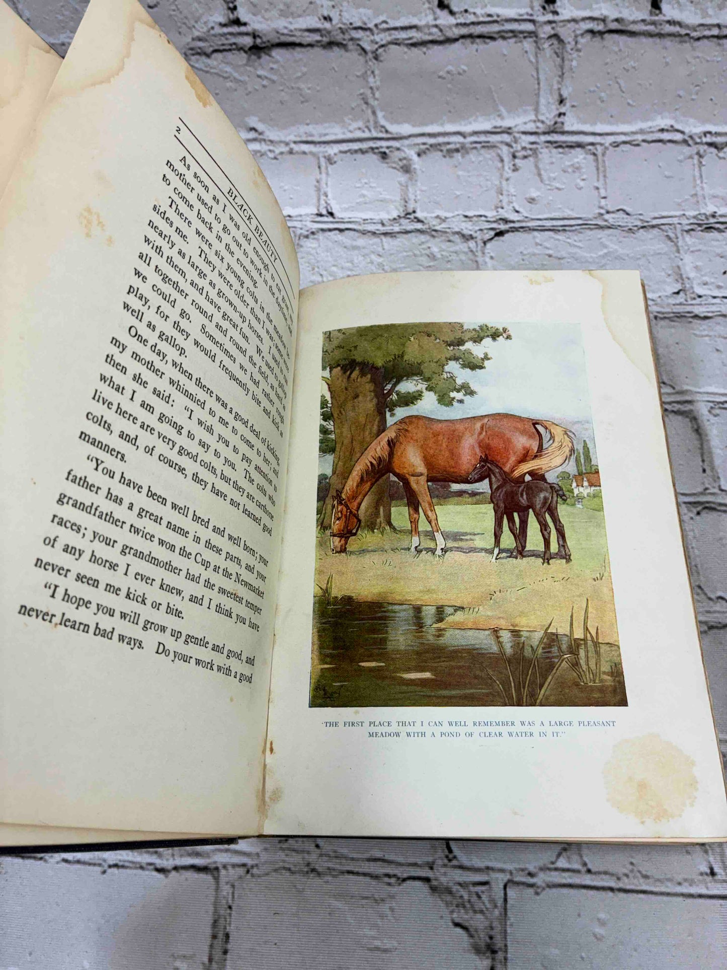 Black Beauty: The Autobiography of a Horse