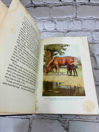 Black Beauty: The Autobiography of a Horse