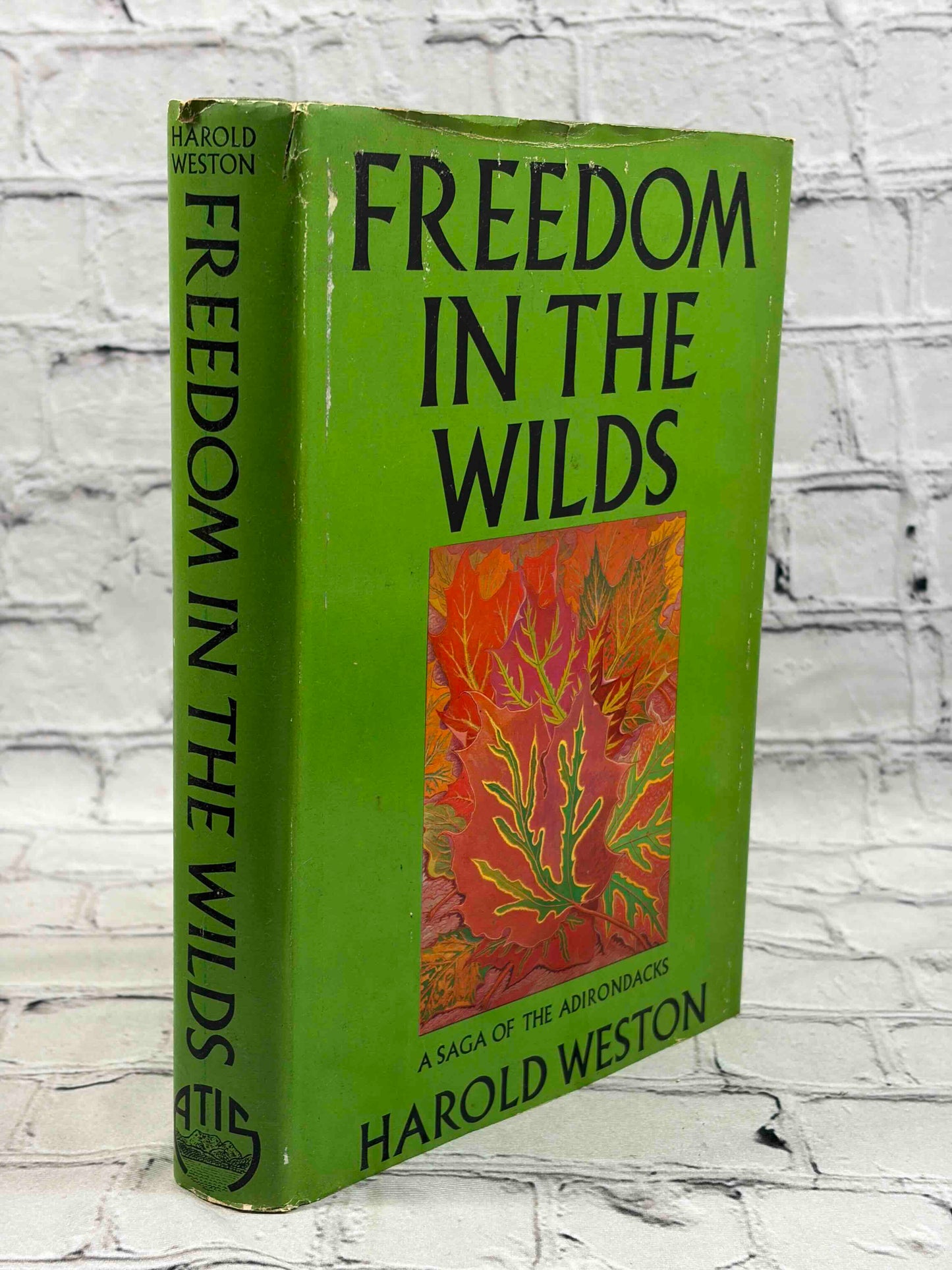 Freedom in the Wilds: A Saga of the Adirondacks