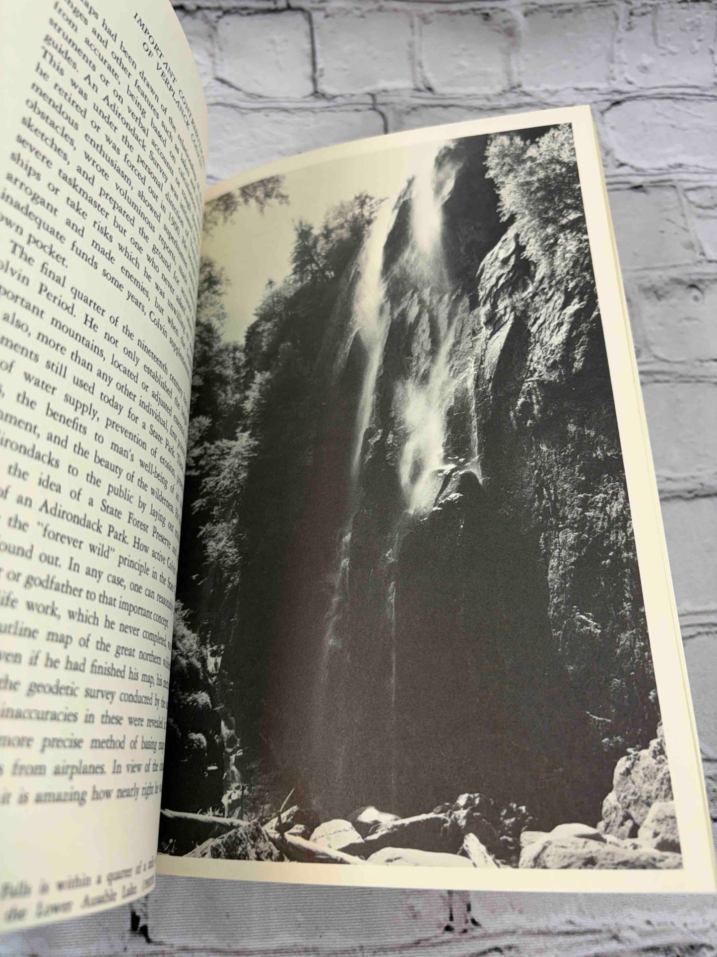 Freedom in the Wilds: A Saga of the Adirondacks