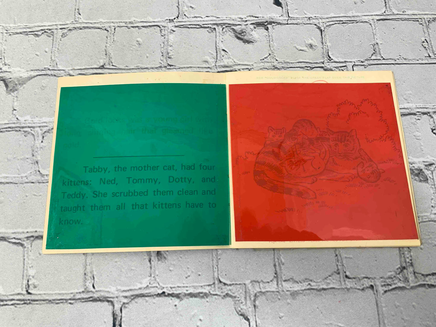 Magic Color Twin Story Book