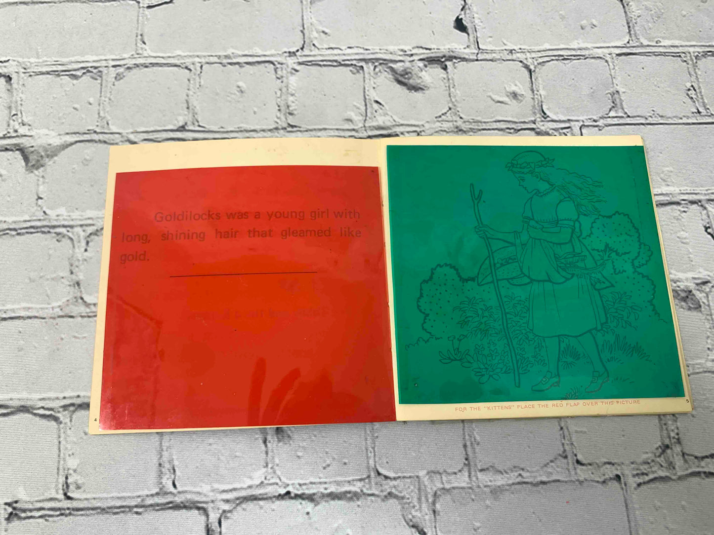 Magic Color Twin Story Book
