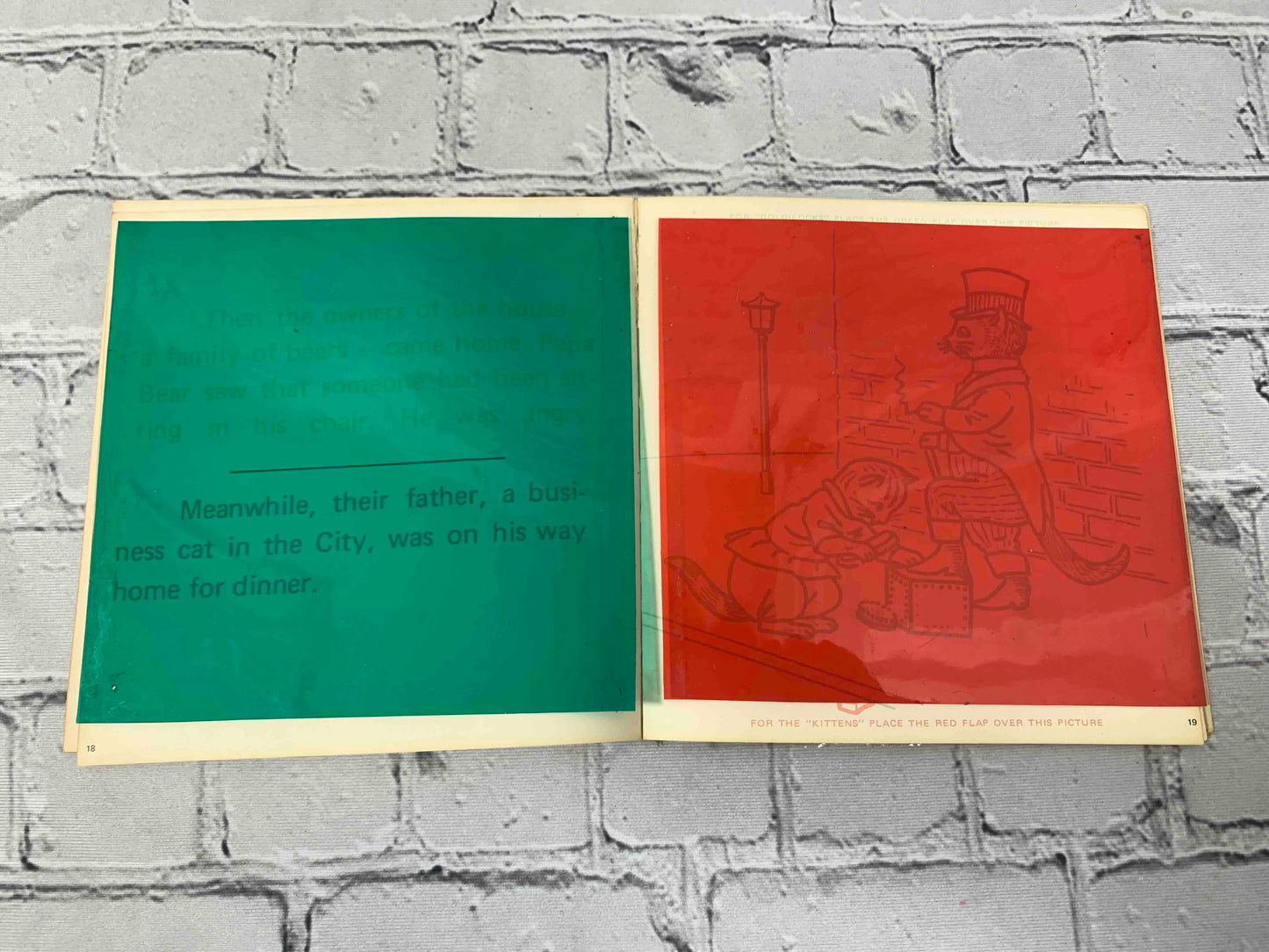 Magic Color Twin Story Book