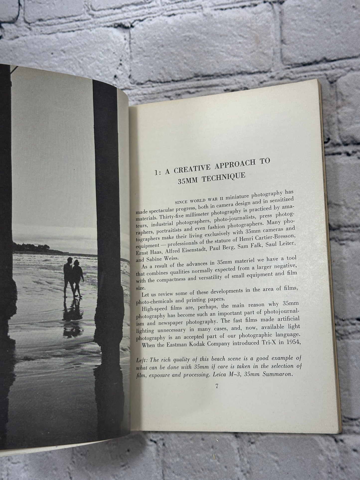 35 Mm Negs and Print by Y. Ernest Satow [1960]