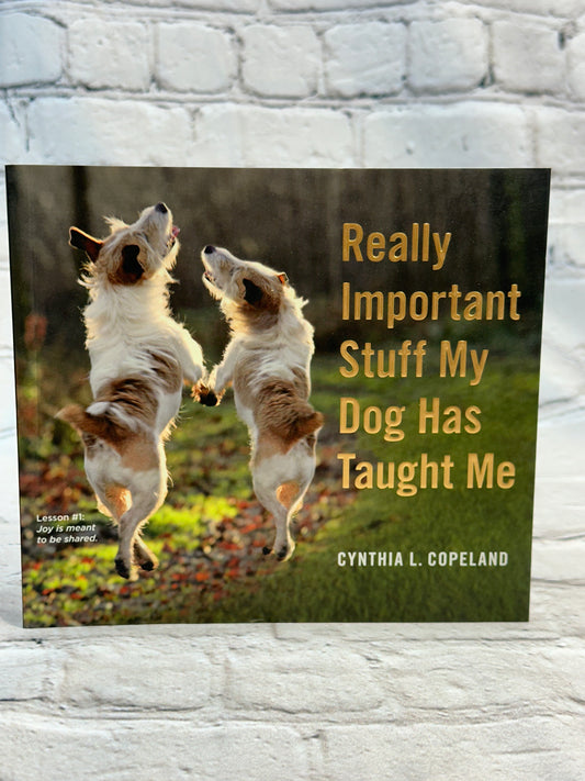 Really Important Stuff My Dog Has Taught Me by Cynthia L. Copeland [2014]