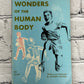 Wonders Of The Human Body by Anthony Ravielli [1961 · First Printing]