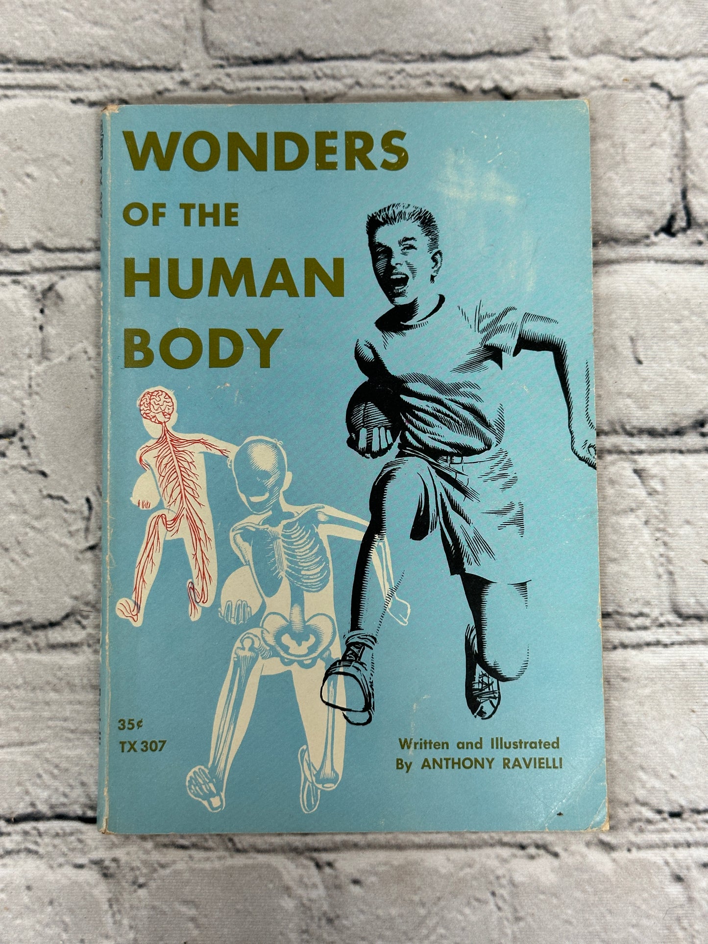 Wonders Of The Human Body by Anthony Ravielli [1961 · First Printing]