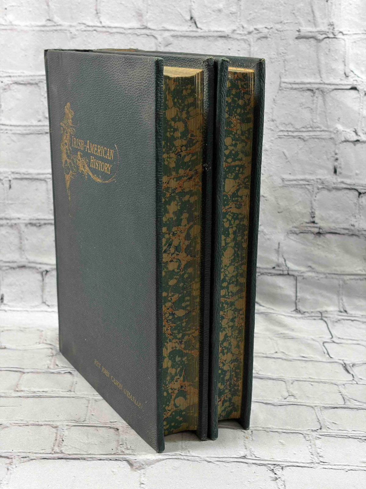Irish American History of the United States Complete in 2 Vol.'s