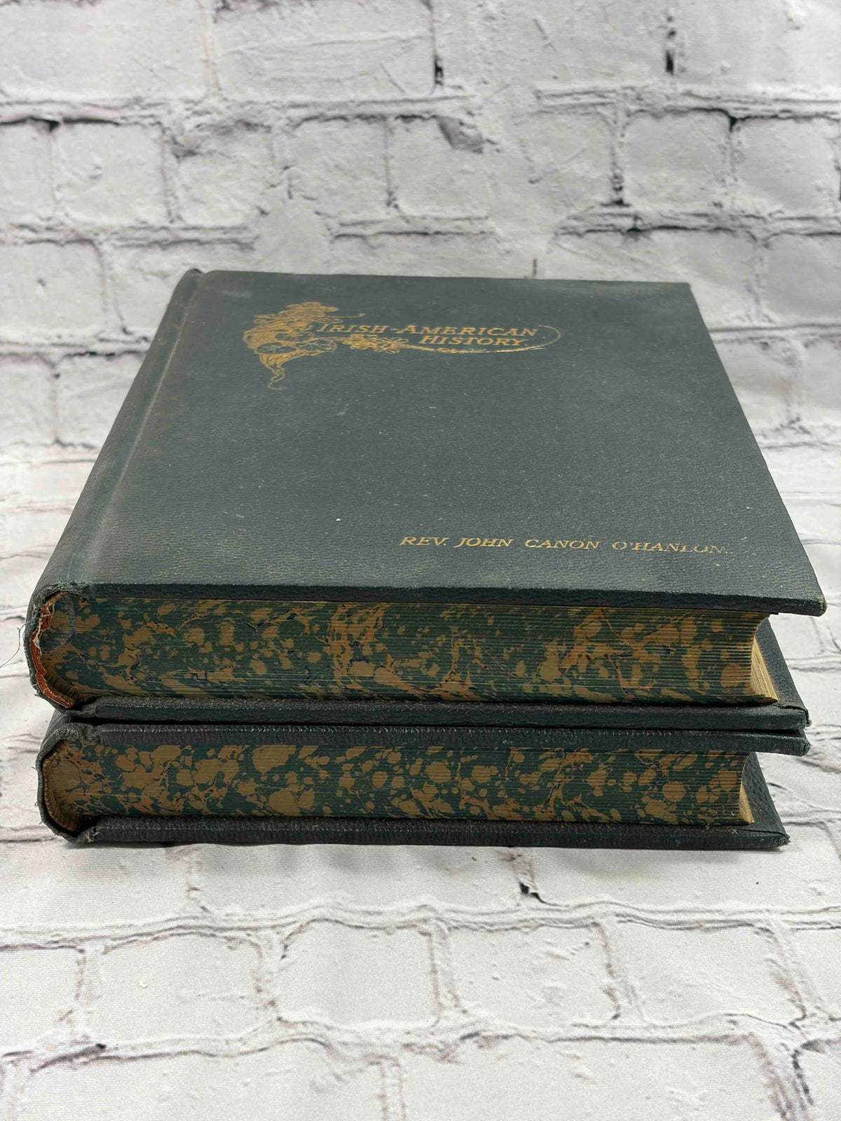 Irish American History of the United States Complete in 2 Vol.'s