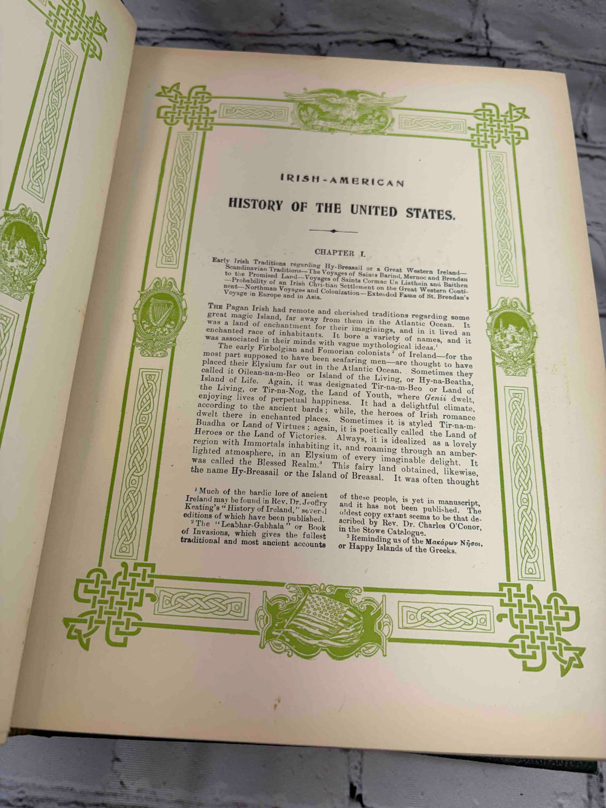 Irish American History of the United States Complete in 2 Vol.'s
