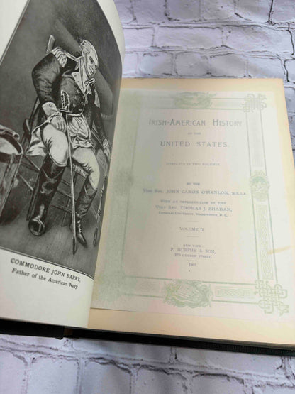 Irish American History of the United States Complete in 2 Vol.'s