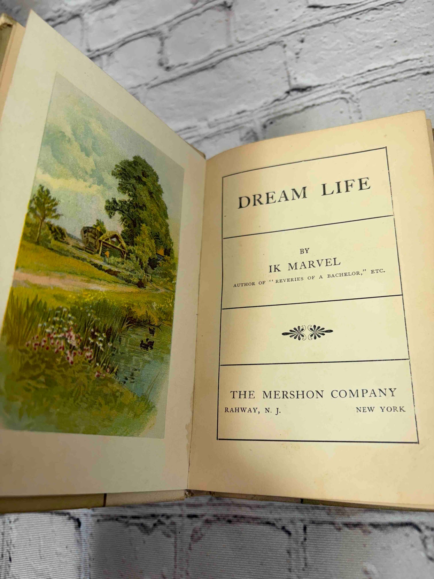 Dream Life