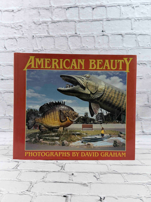 American Beauty (New Images Book)
