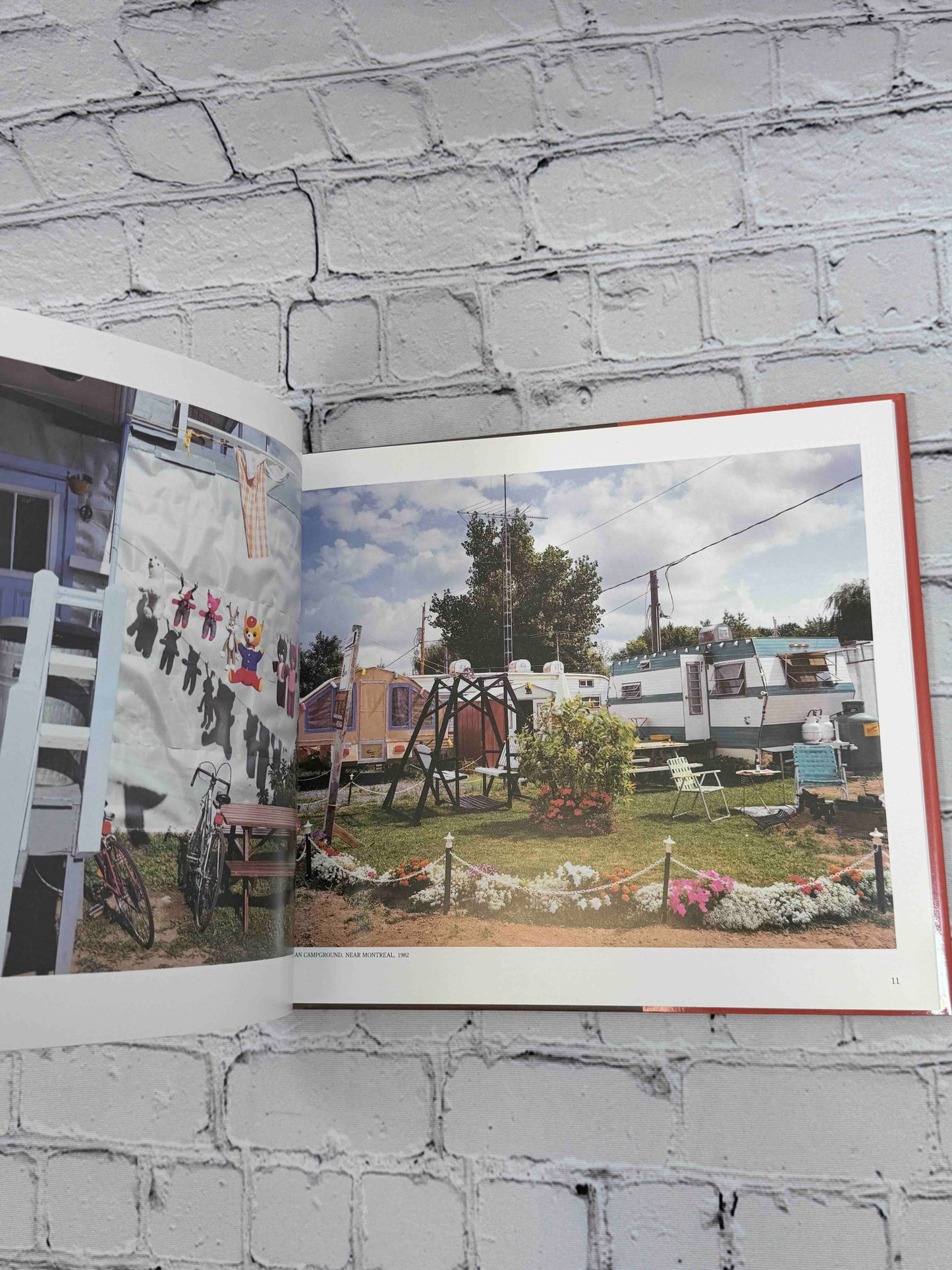 American Beauty (New Images Book)