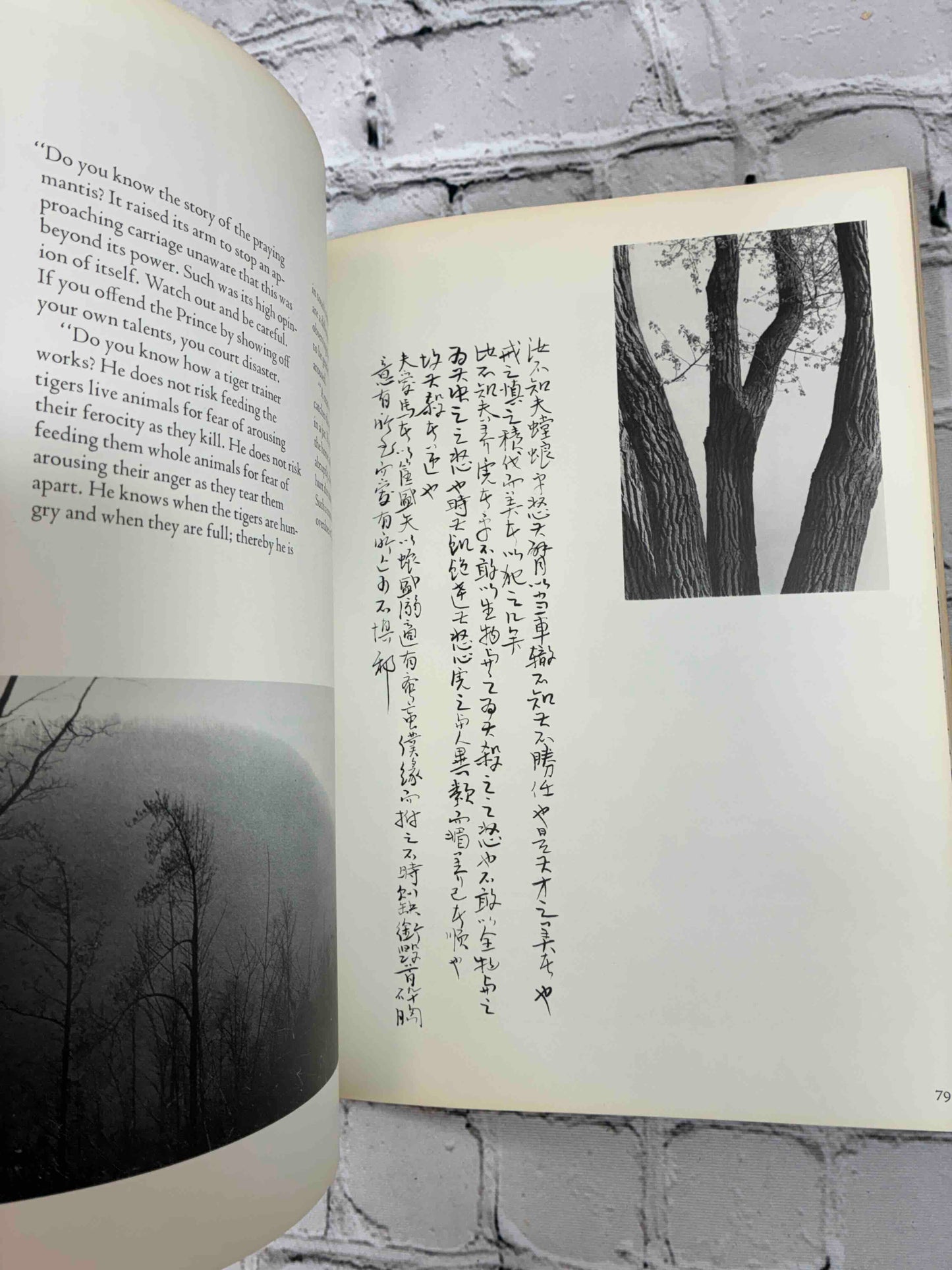 Chuang Tsu: Inner Chapters: Inner Chapters