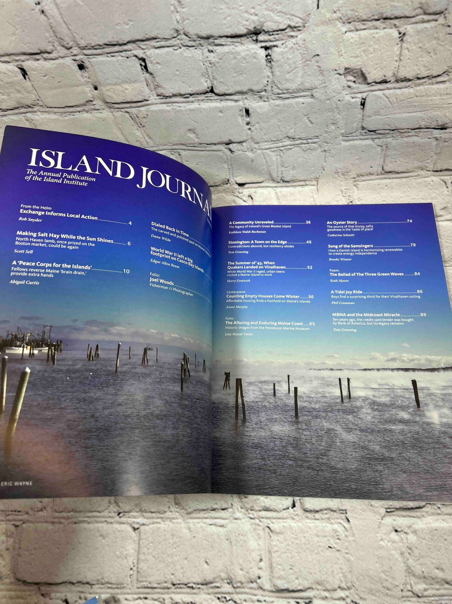 Island Journal Life in Maines Island and Coastal Community Vol. 38