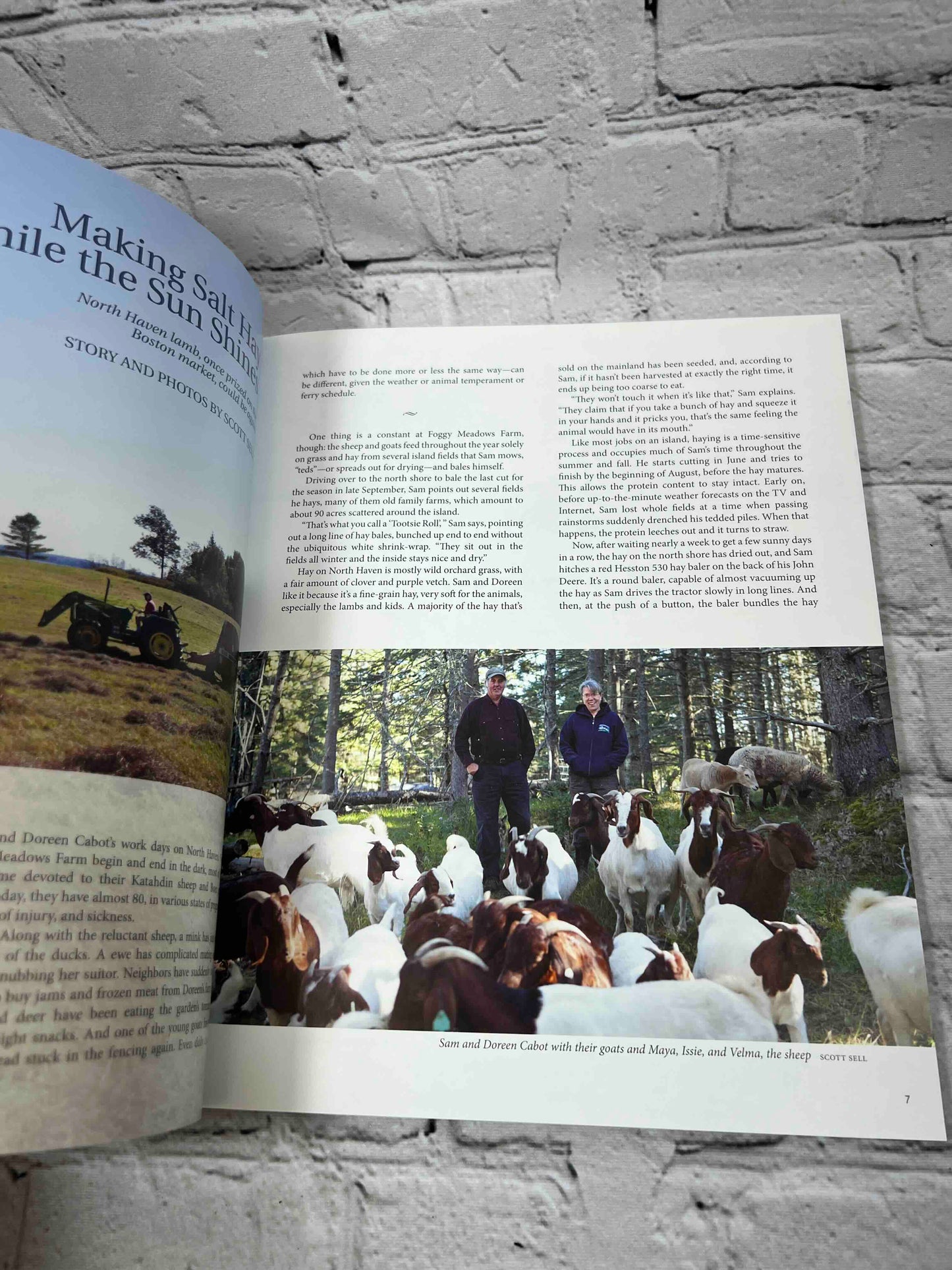 Island Journal Life in Maines Island and Coastal Community Vol. 38