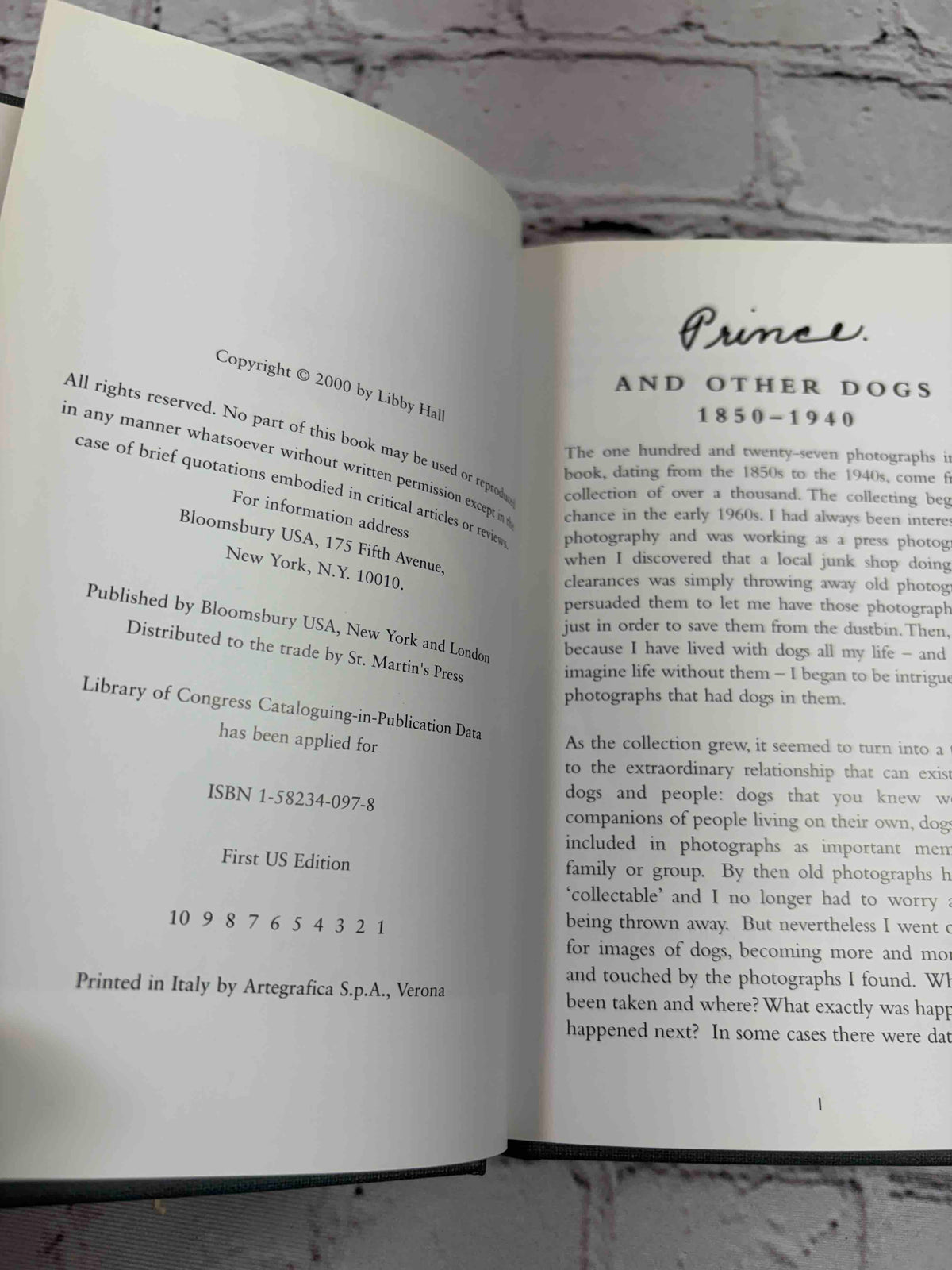 Prince and Other Dogs, 1850-1940 (Vol. 1 & 2)