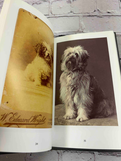 Prince and Other Dogs, 1850-1940 (Vol. 1 & 2)
