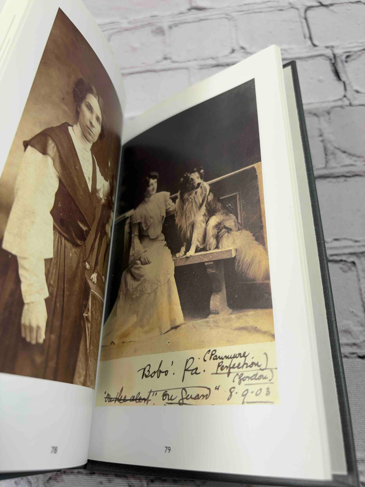 Prince and Other Dogs, 1850-1940 (Vol. 1 & 2)