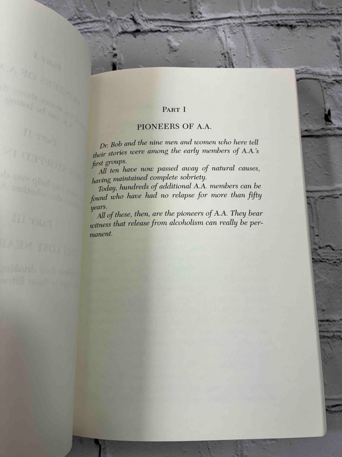Alcoholics Anonymous Big Book