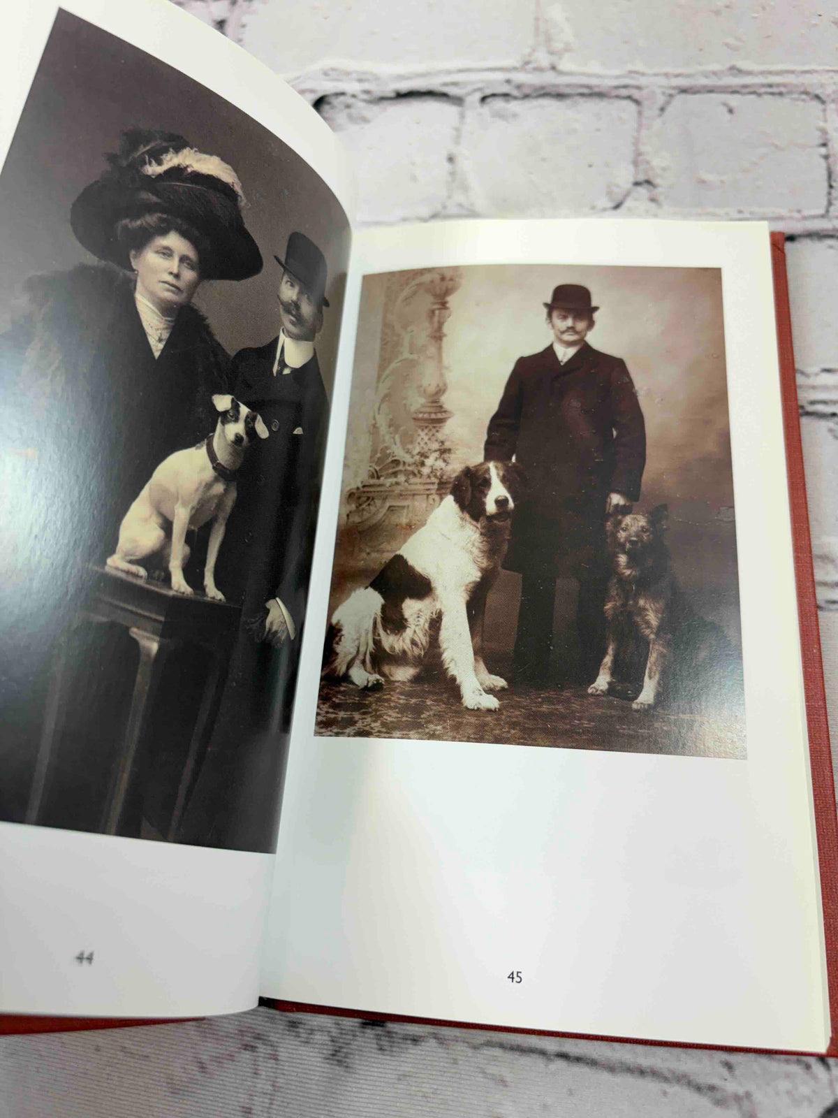 Prince and Other Dogs, 1850-1940 (Vol. 1 & 2)