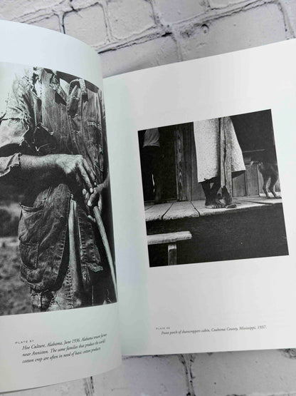 Dorothea Lange: American Photographs