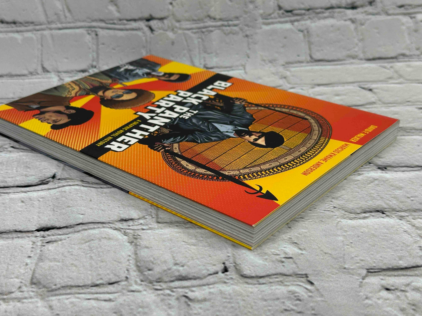 The Black Panther Party: A Graphic Novel History