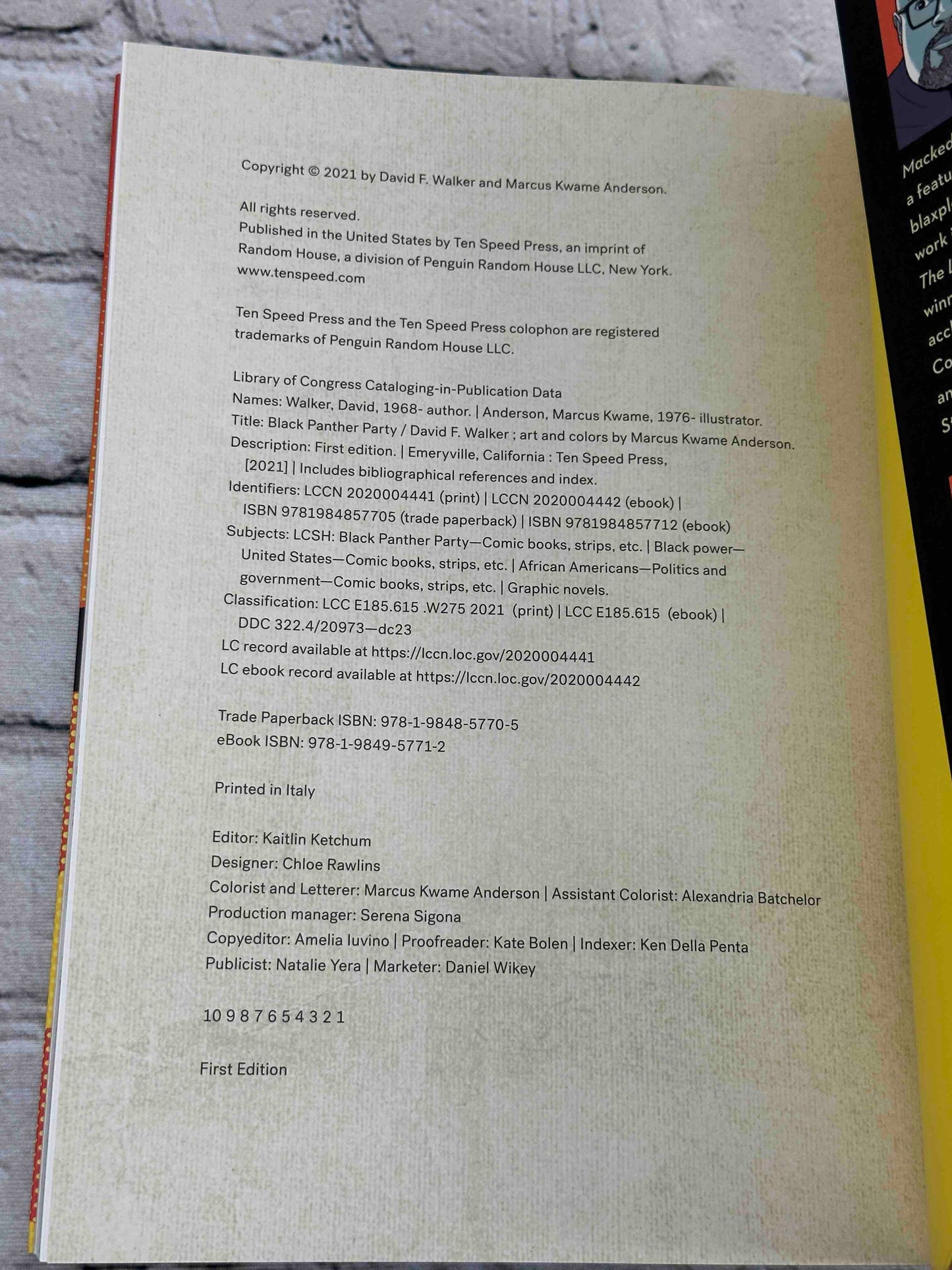 The Black Panther Party: A Graphic Novel History