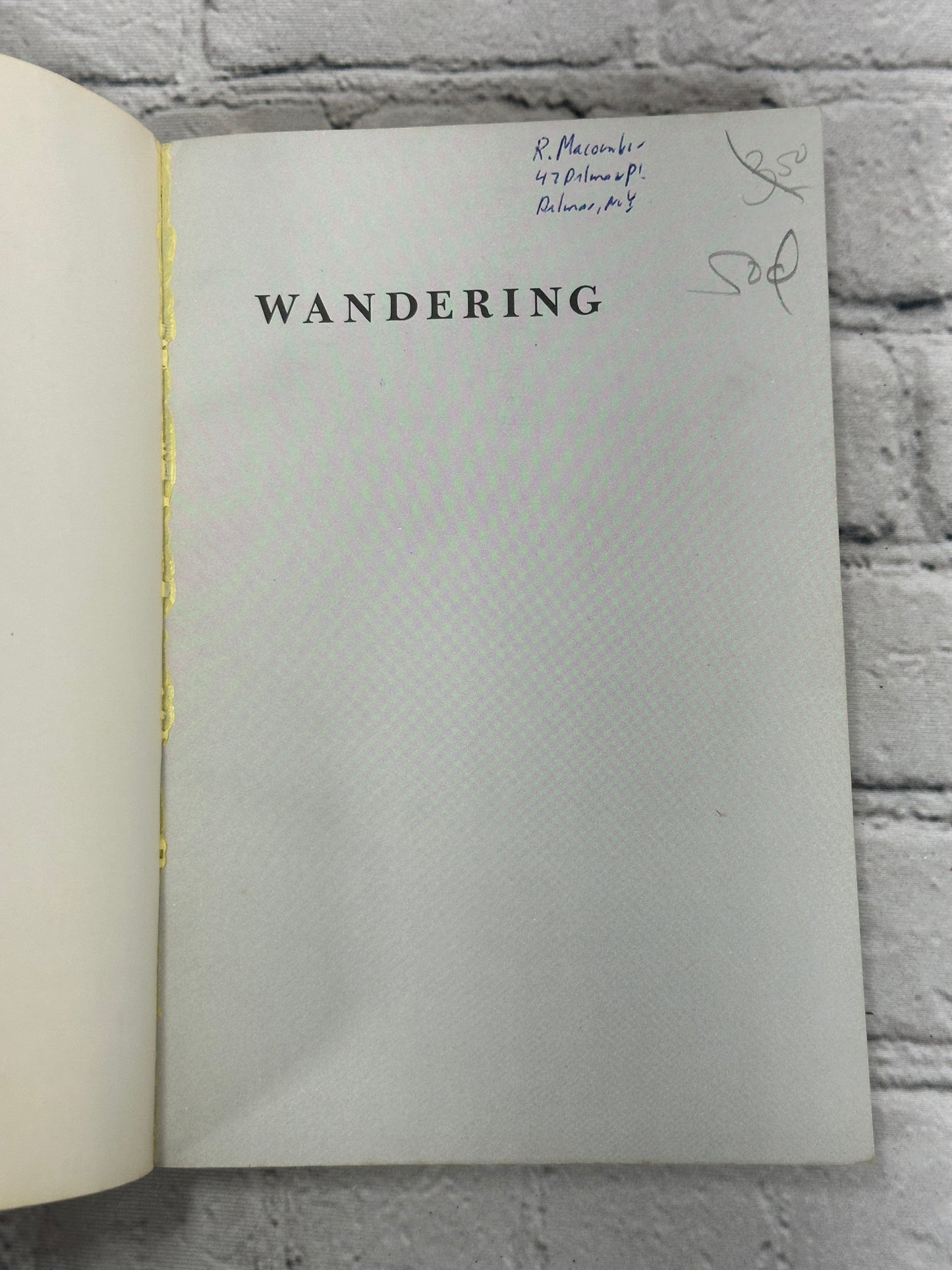 Wandering: A Walker's Guide to the Mountain Trails of Europe By Ruth Rudner