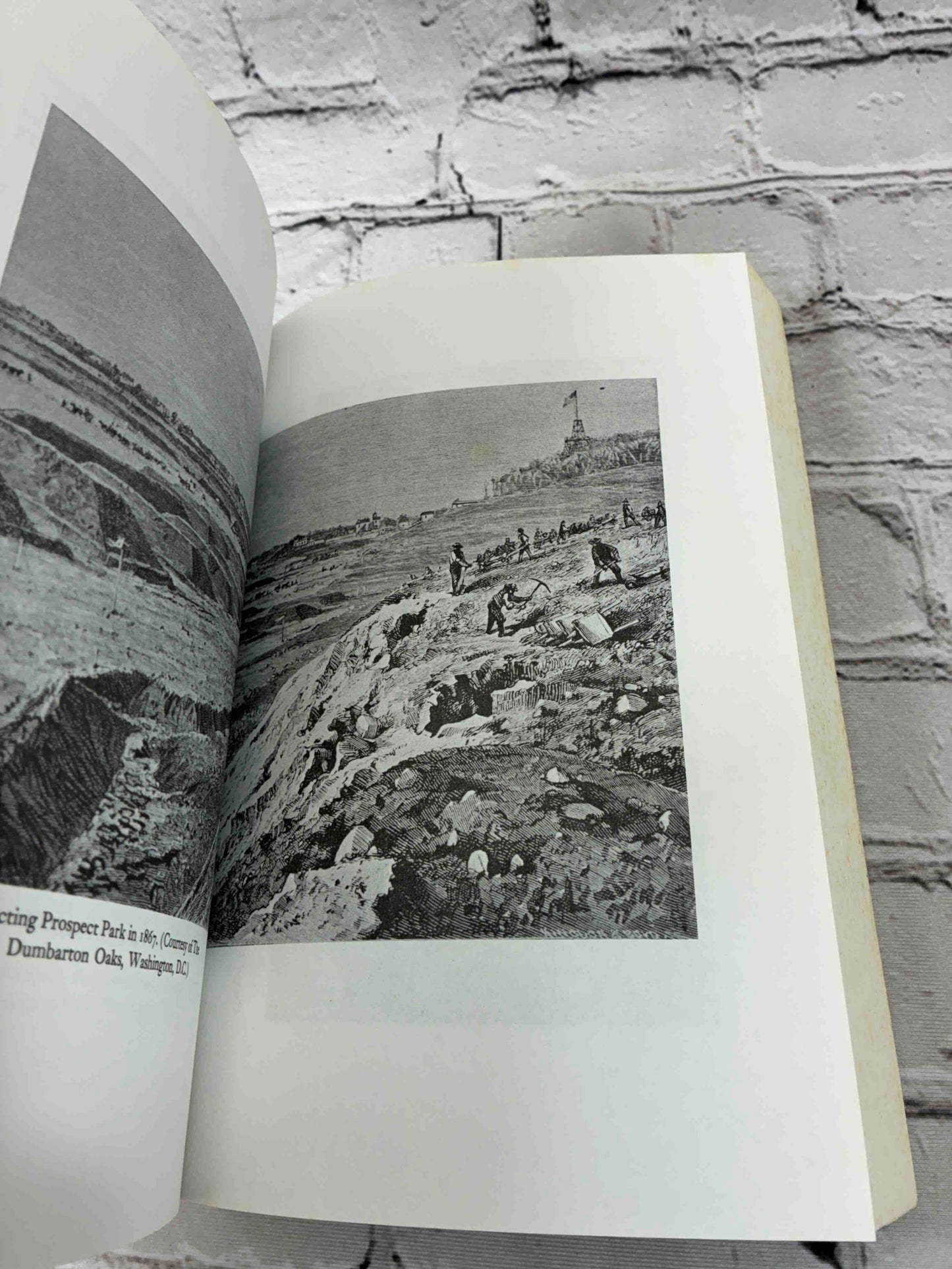 Landscape into Cityscape: Frederick Law Olmsted's Plans for a Greater New York City