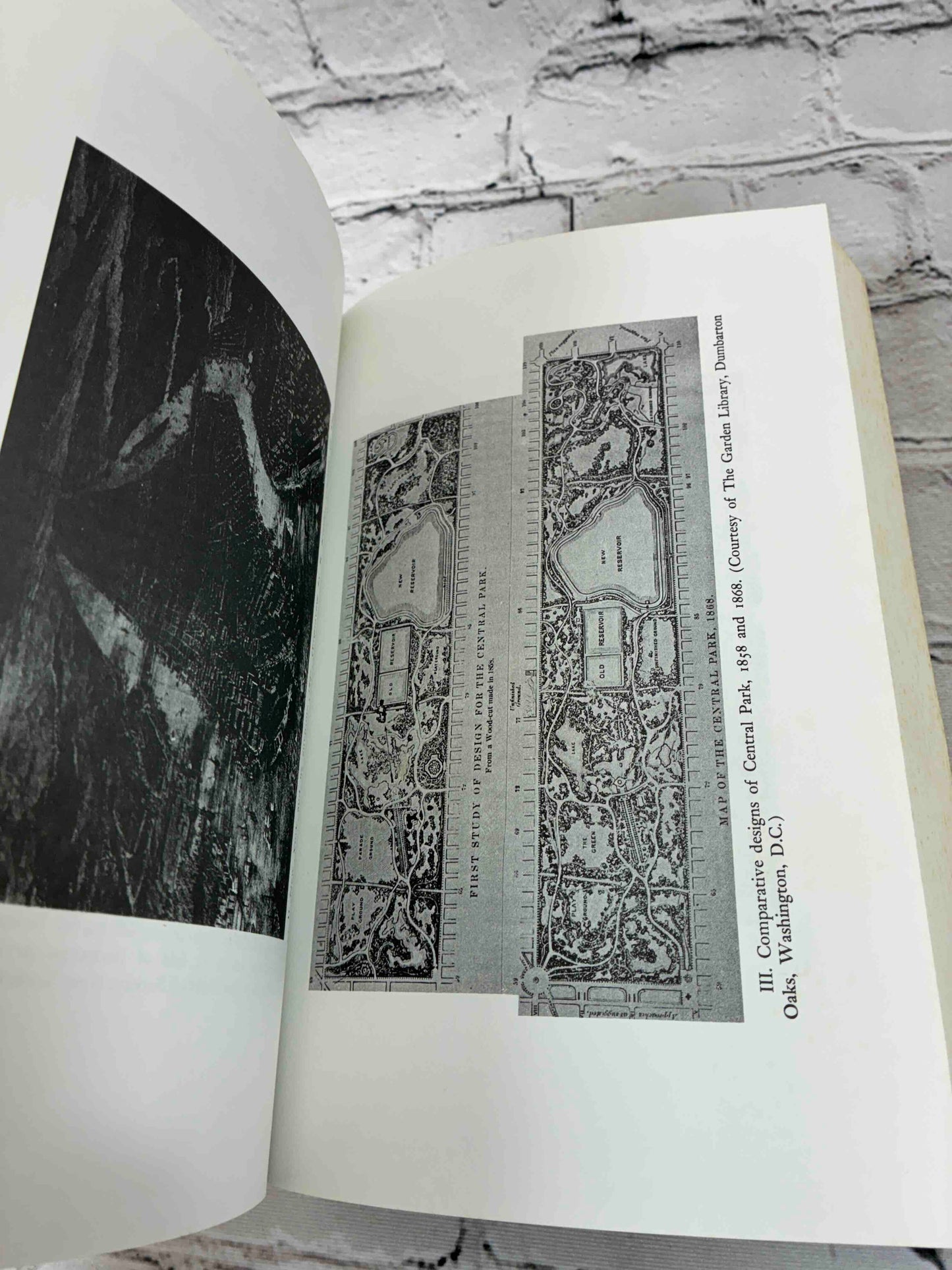 Landscape into Cityscape: Frederick Law Olmsted's Plans for a Greater New York City