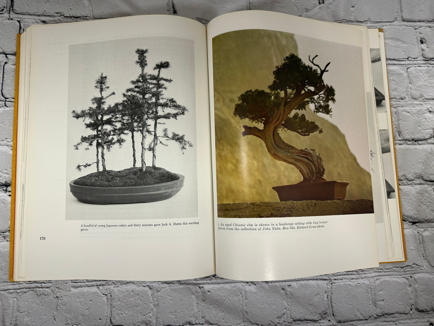 Bonsai, Saikei and Bonkei  by Robert Lee Behme [1969]