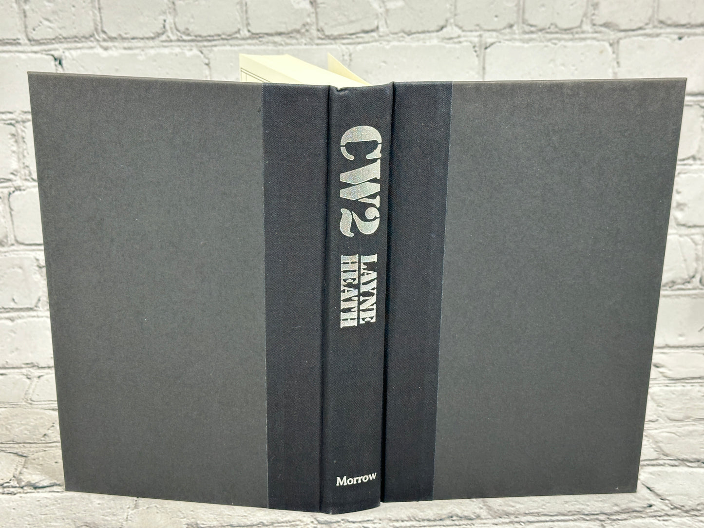 CW2: A Vietnam War Novel by Layne Heath [1990 · Second Printing]