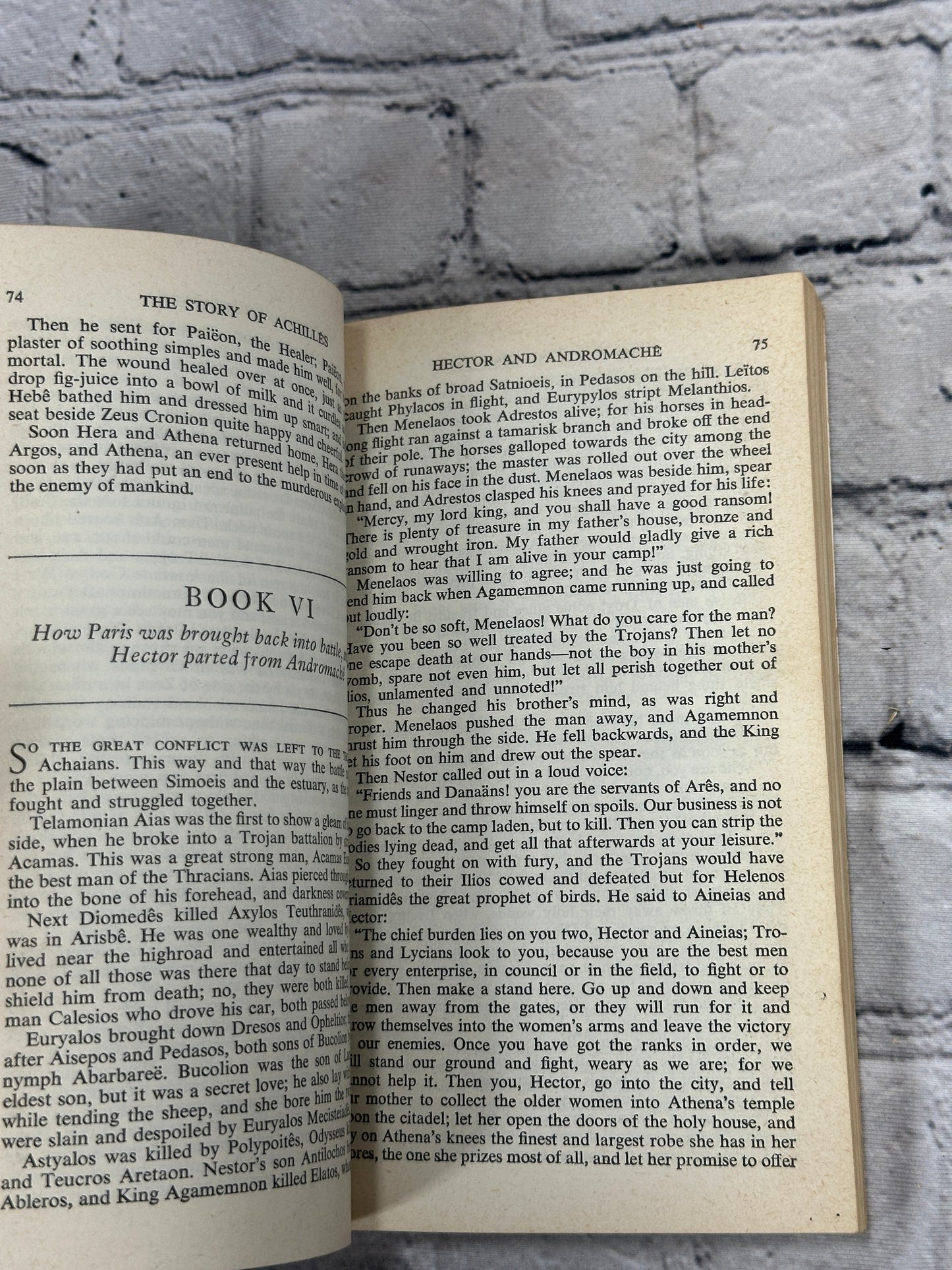 The Iliad by Homer  [Mentor Classic  · 1962]