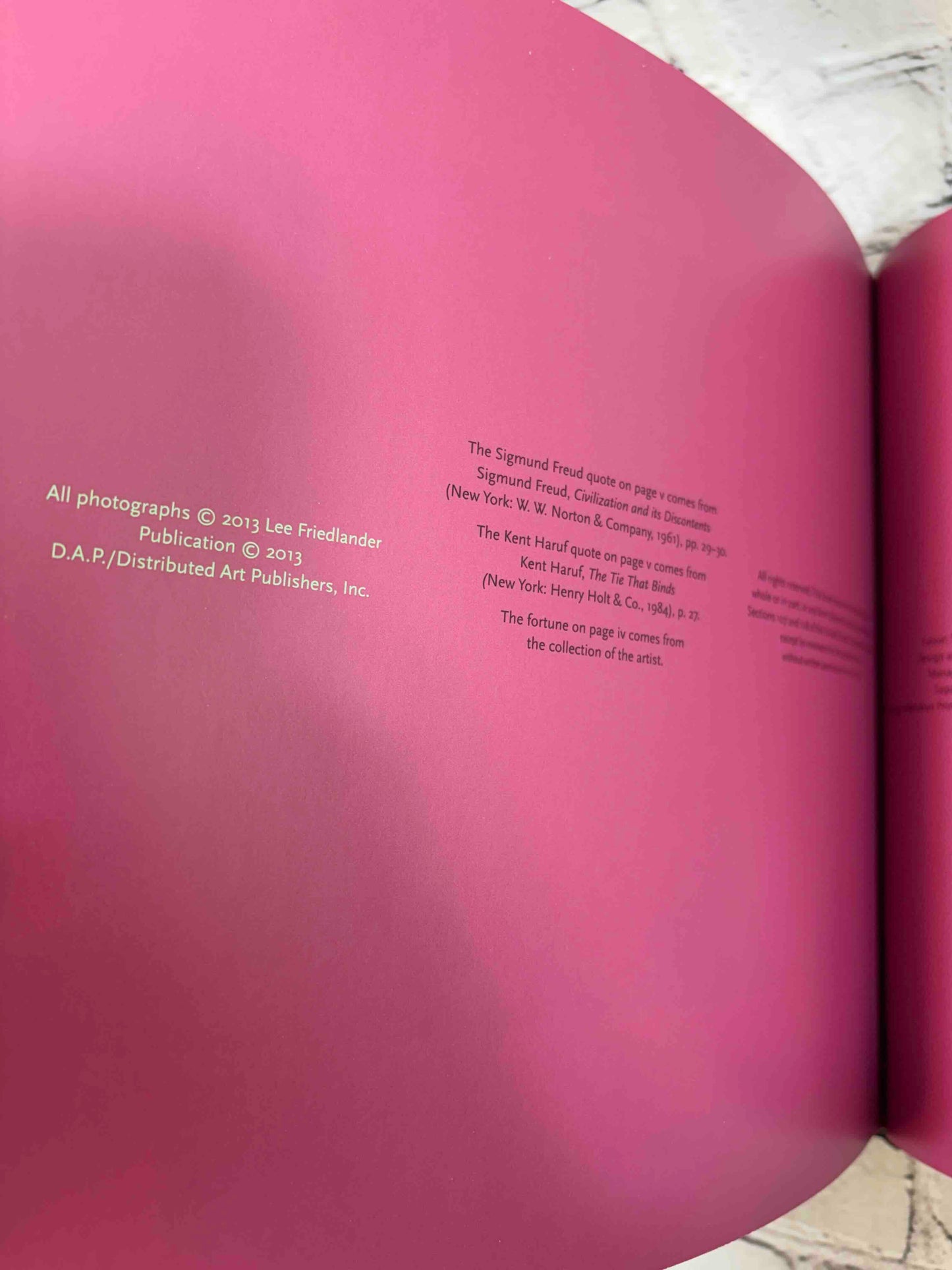 Lee Friedlander The Nudes: A Second Look