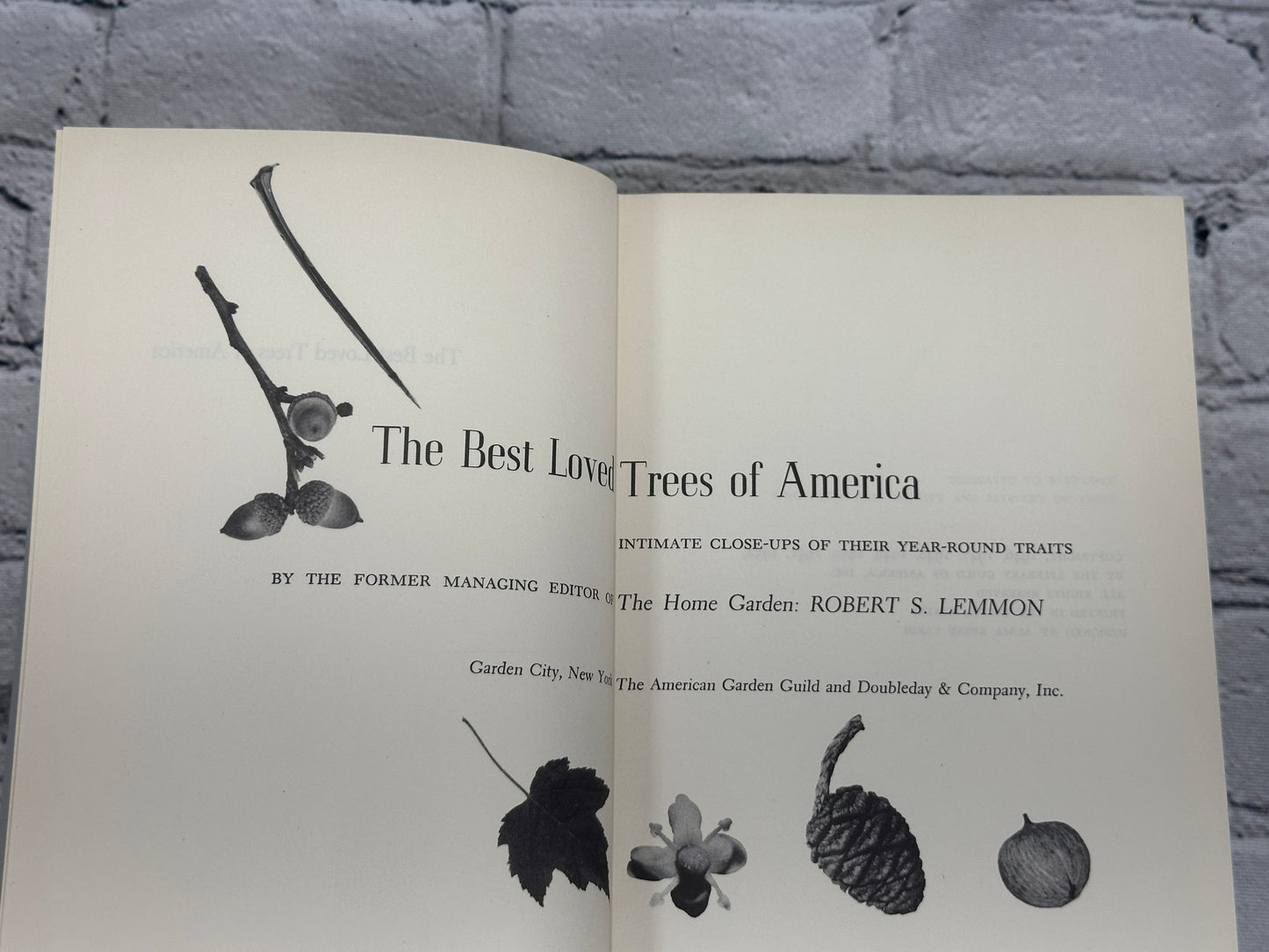 The Best Loved Trees of America by Robert S. Lemmon [1952 · Book Club Edition]