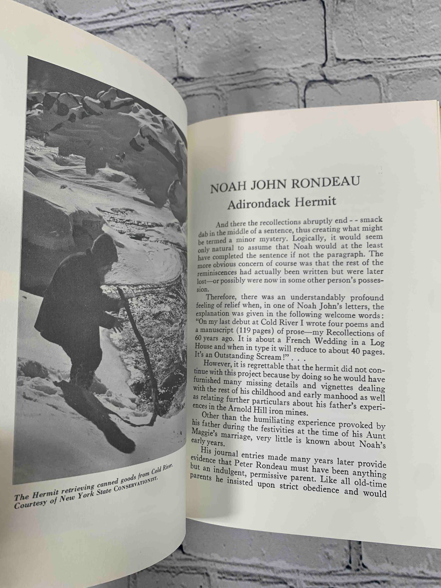 Noah John Rondeau: Adirondack Hermit