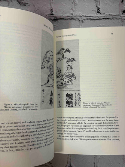Pandemonium and Parade: Japanese Monsters and the Culture of Yokai